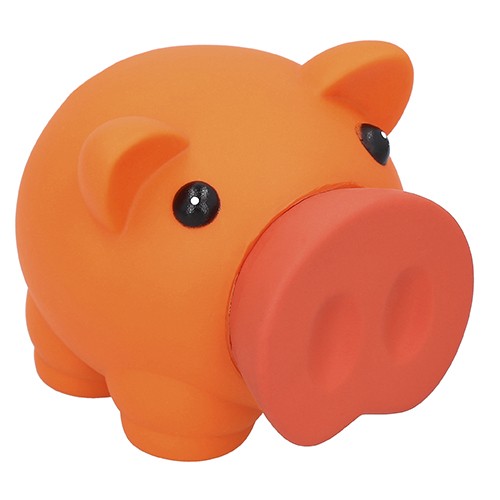 EE491 - COCHINITO